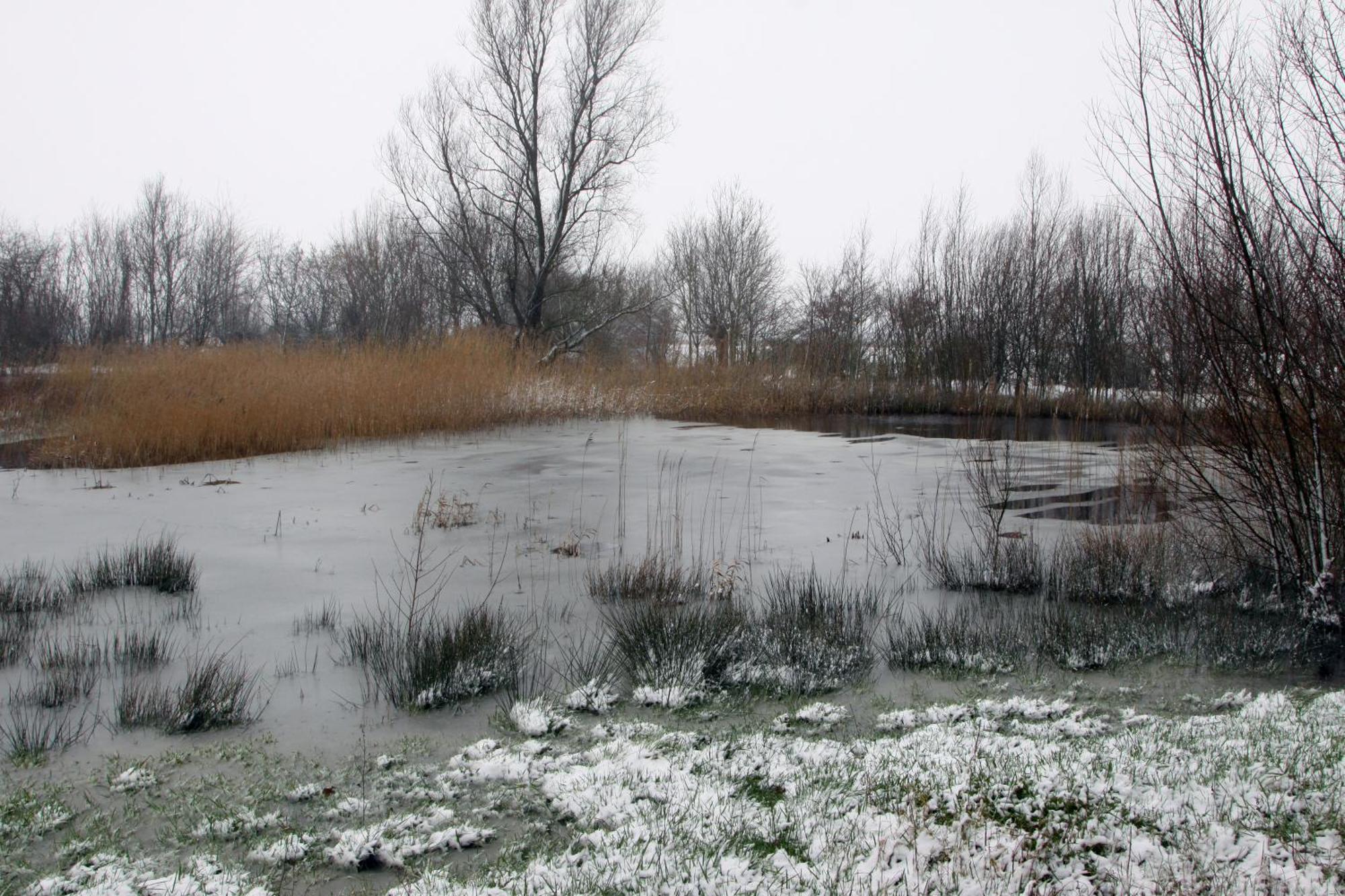 Gastenkamers Boussemaere Ichtegem Exterior foto